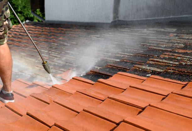 Best Exterior Home Cleaning  in Lino Lakes, MN
