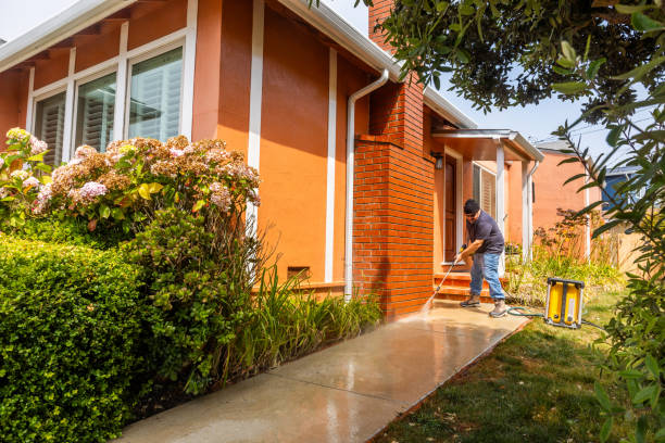 Best Roof Power Washing Services  in Lino Lakes, MN