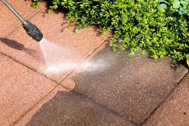 Best Residential Pressure Washing Services  in Lino Lakes, MN